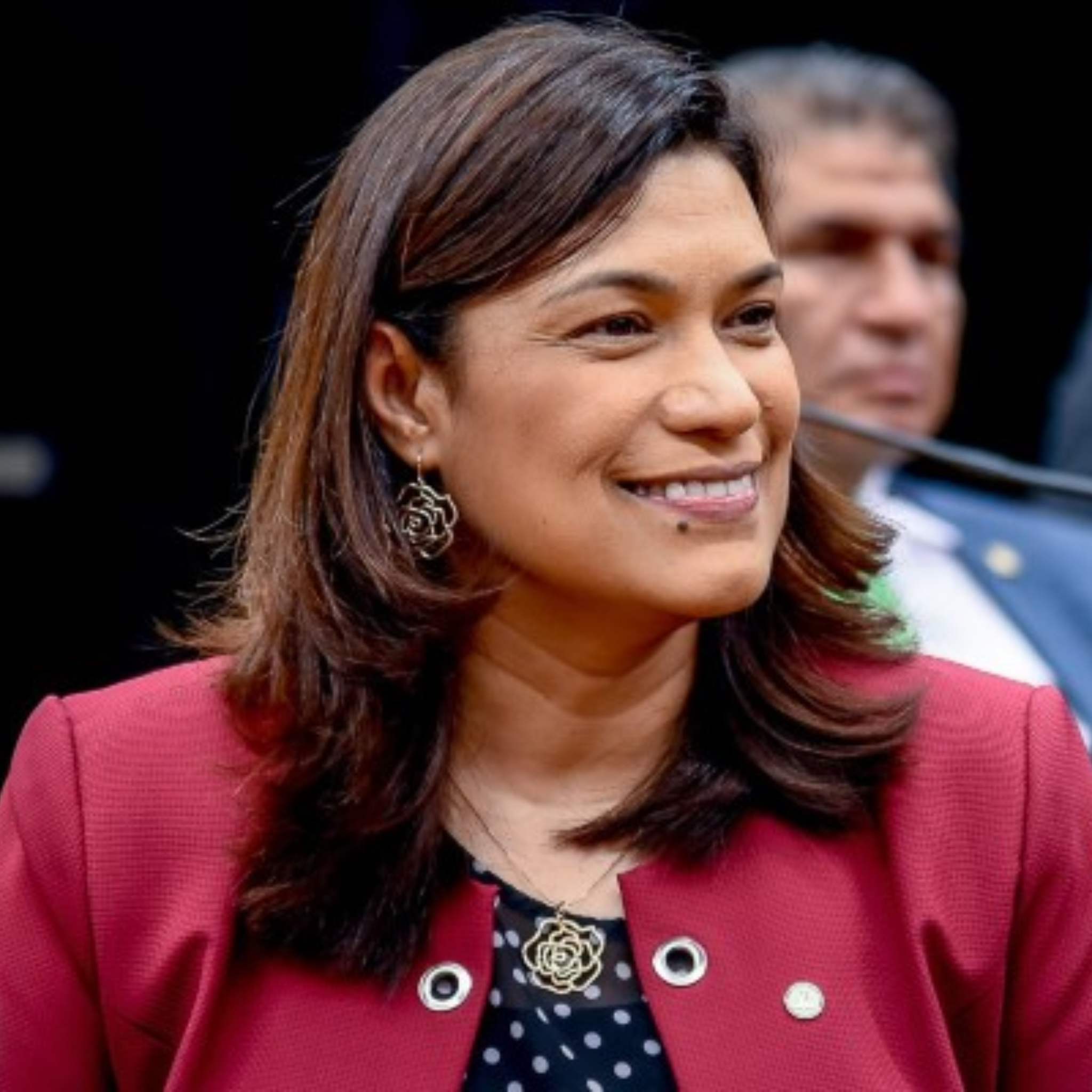 DEPUTADA FEDERAL MARIA ROSAS