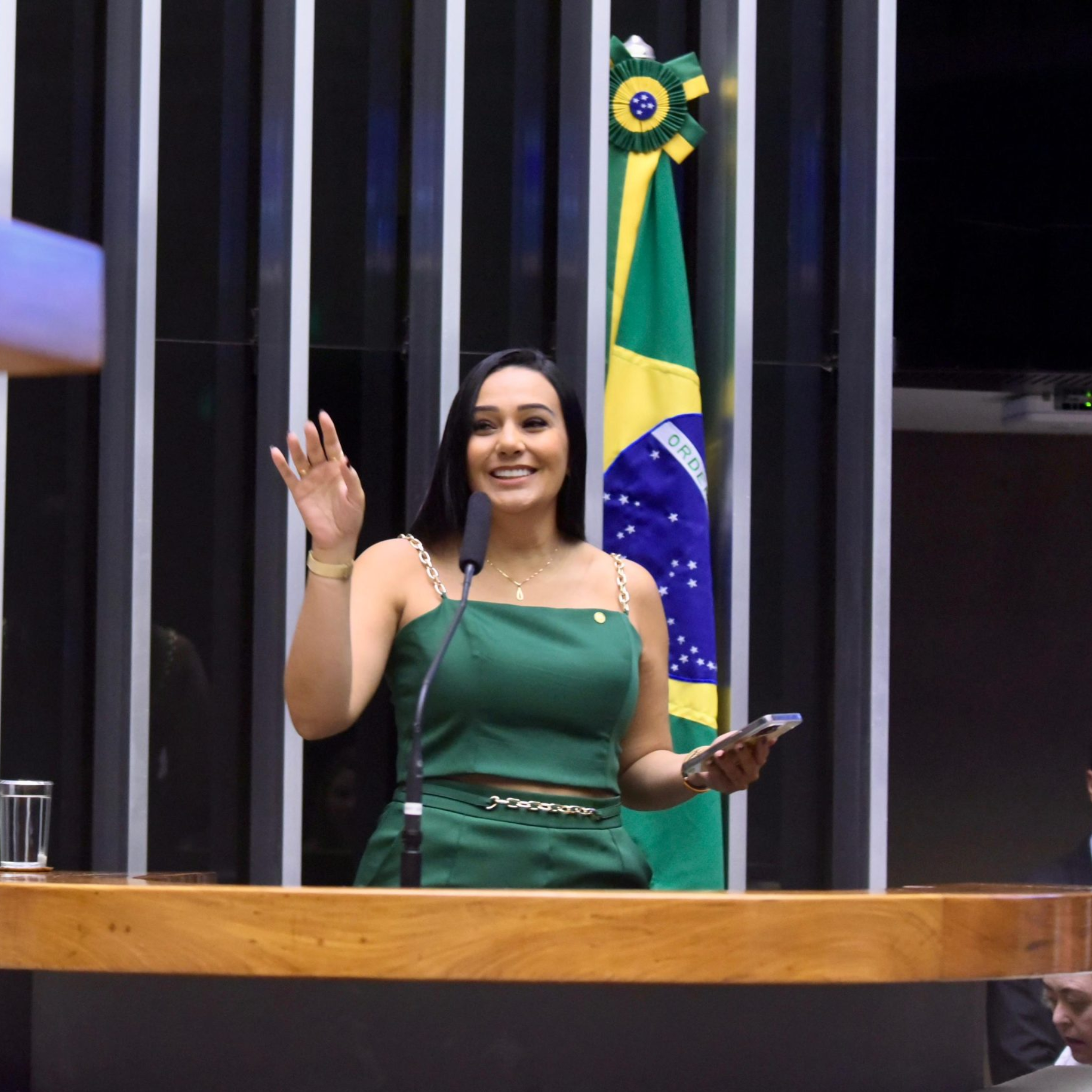 DEPUTADA FEDERAL DAYANY BITTENCOURT